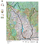 New! Custom Colorado Bear Concentration Map