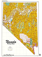 Nevada Statewide Unit Map