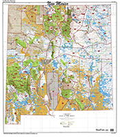 New Mexico Statewide Unit Map